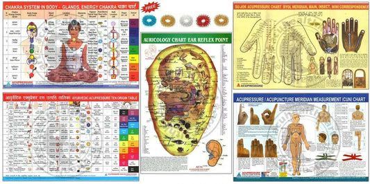 Acupressure Charts for Holistic Healing and Wellness - StellerGear