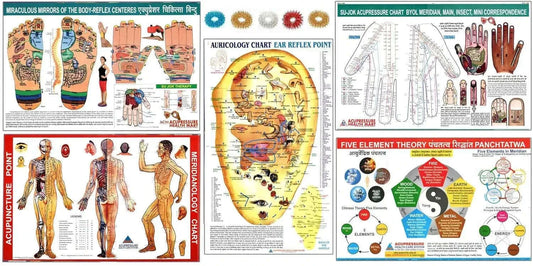 Set of 5 acupressure charts with diagrams and rings