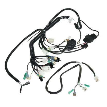 For Royal Enfield Electra 350 Kick Start Main Wiring & Taillight Harness Kit StellerGear