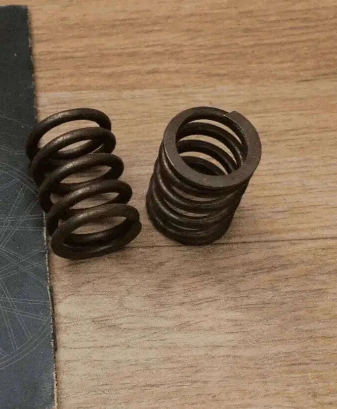 Valve Springs Set Genuine Part 507064 Fits Royal Enfield Bullet - StellerGear
