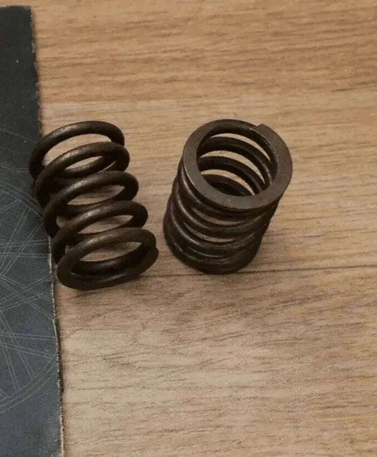 Valve Springs Set Genuine Part 507064 Fits Royal Enfield Bullet - StellerGear